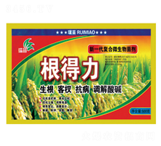 ��(f��)��΢�������-������-����