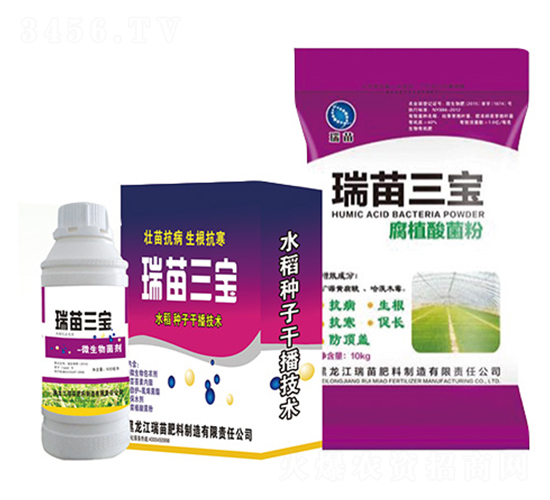 ��������-����