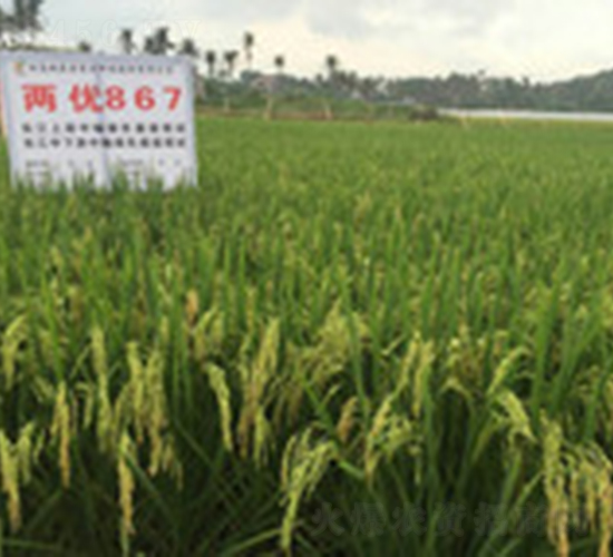 �Ƀ�(y��u)867-ˮ���N��-�һ�Դ