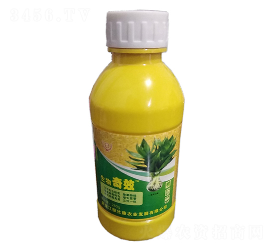 ������Ч-�ډѿ�