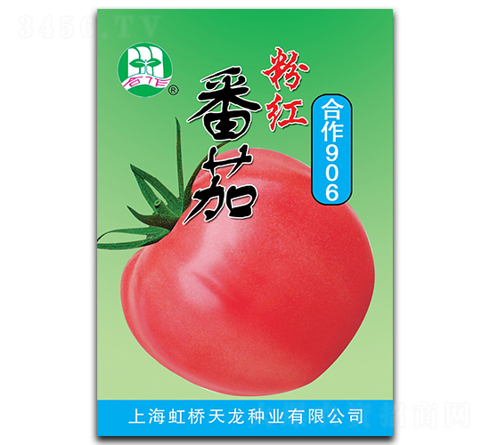 ����906-���ѷN��-�����N�I(y��)