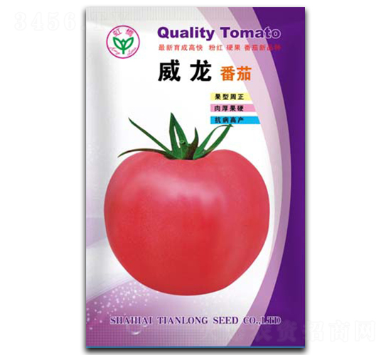 ����-���ѷN��-�����N�I(y��)