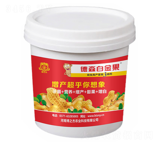 ��������ˎ-��ɭ�׽��-�S�՘�