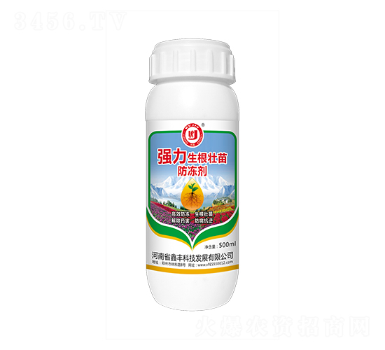 �����������������-���S�Ƽ�