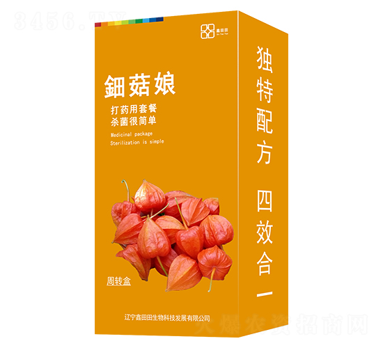 ⚹�����b��-������