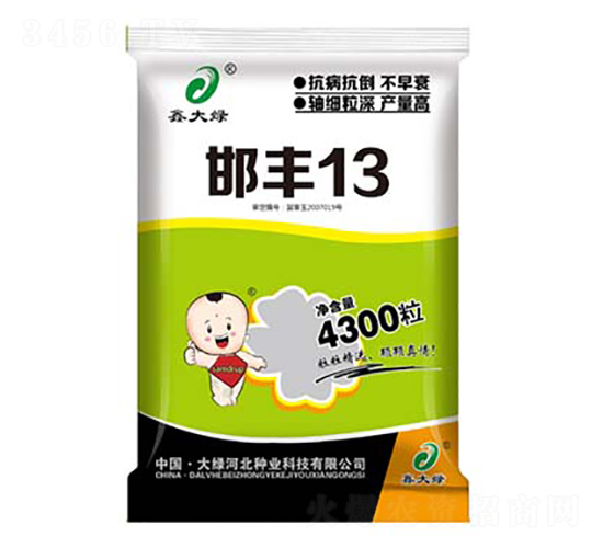 ���S13-���׷N��-�δ�G