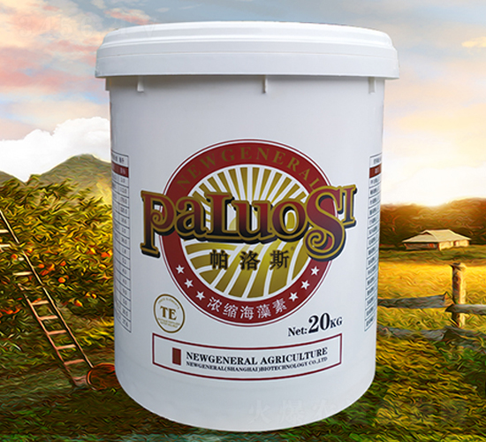 ��s������-����˹-�r��