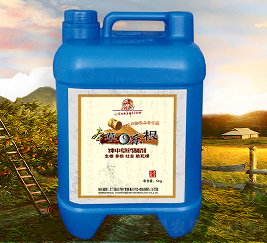 ���в�ˎ�Ƅ�-���ݘ���-�r(n��ng)��