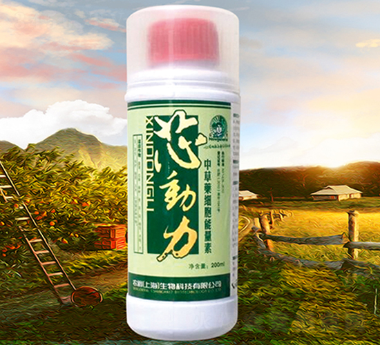 �в�ˎ����������-о����-�r(n��ng)��