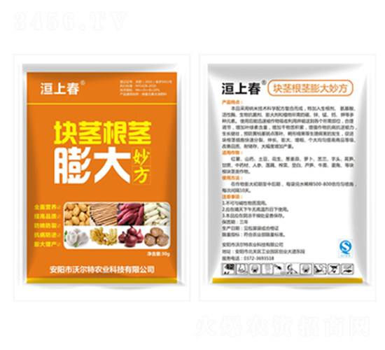 �K�o���o����-��ϴ�-�֠���