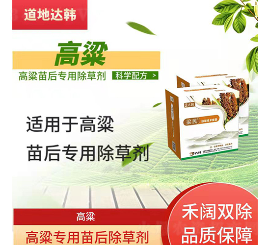 �������������݄�-����-�����_�n