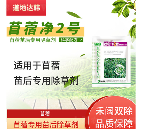 ��ޣ���������݄�-��ޣ��2̖(h��o)-�����_(d��)�n