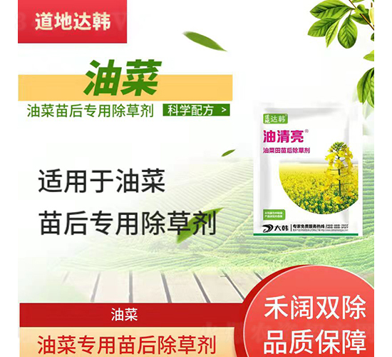 �Ͳˌ��������݄�-������-�����_�n