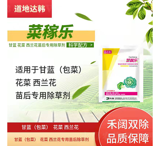 ���{(l��n)�������{(l��n)�����������݄�-�˼ژ�-�����_(d��)�n