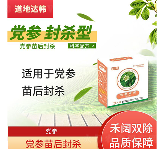 �h�����⚢���݄�-�����_(d��)�n