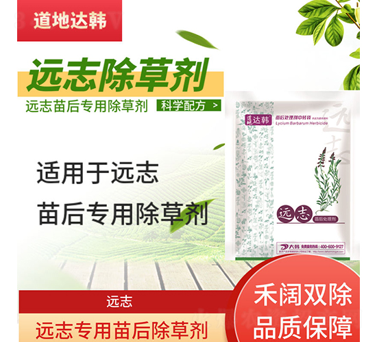 �h(yu��n)־���������݄�-�����_(d��)�n