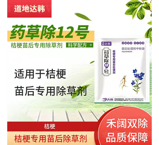 �۹�������ó��݄�-ˎ�ݳ�12̖-�����_(d��)�n