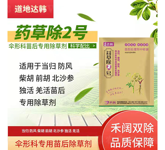 ���οƌ��������݄�-ˎ�ݳ�2̖(h��o)-�����_(d��)�n