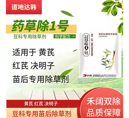 ���ƌ��������݄�-ˎ�ݳ�1̖(h��o)-�����_(d��)�n