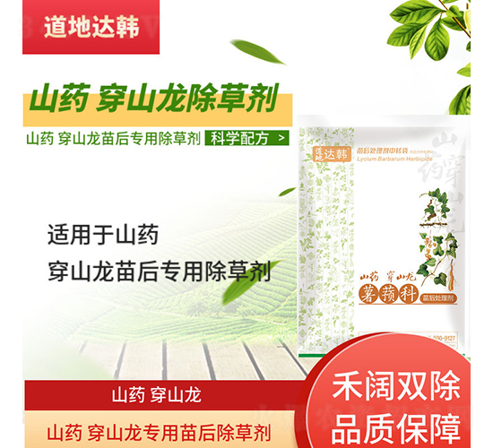 ɽˎ��ɽ�����������݄�-�����_(d��)�n