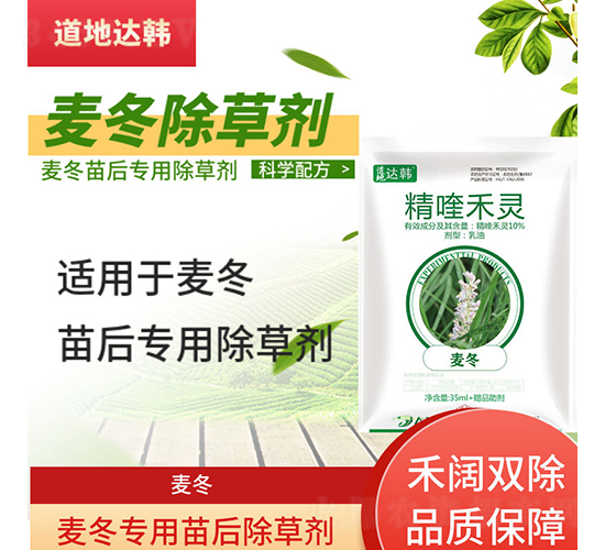 �������������݄�-�����_(d��)�n