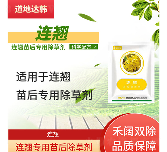 �B�N���������݄�-�����_(d��)�n