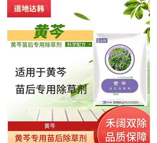 �S�ˌ�(zhu��n)�������݄�-�����_(d��)�n