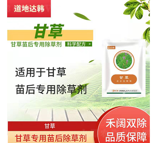 �ʲ݌��������݄�-�����_(d��)�n