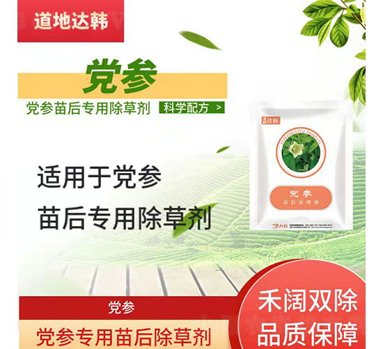 �h�����������݄�-�����_�n