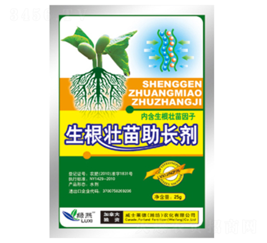 �����������L��-�G��-��ʿ�R��