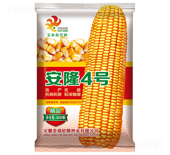 ��¡4̖-���׷N��-���y��¡