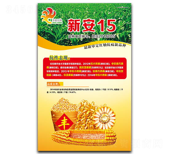 �°�15-���׷N��-���y��¡