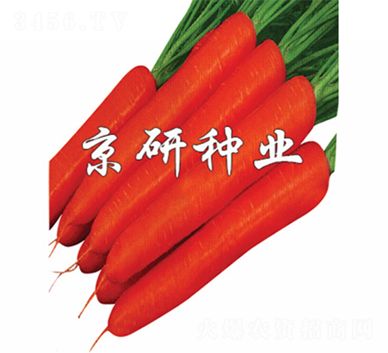 �����tо�ߴ�-���}���N��-����