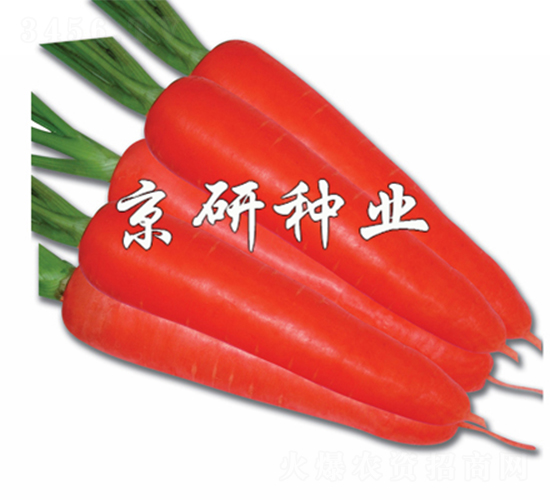 �tо105-���}���N��-����