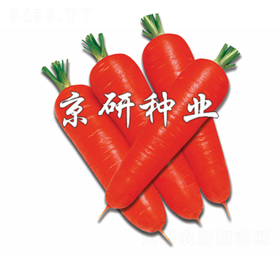 �tо95-���}���N��-����