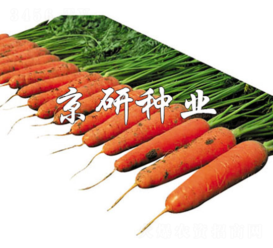 �A�u218-���}���N��-����