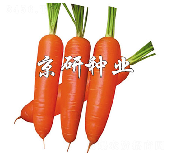 �A�u(y��)228-���}���N��-����