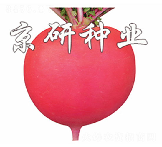 ���t4̖(h��o)-�}���N��-����