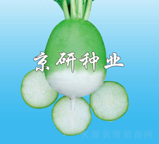 ����1̖-�}���N��-����