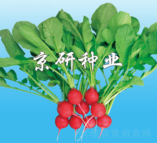 ���мt����-�}���N��-����