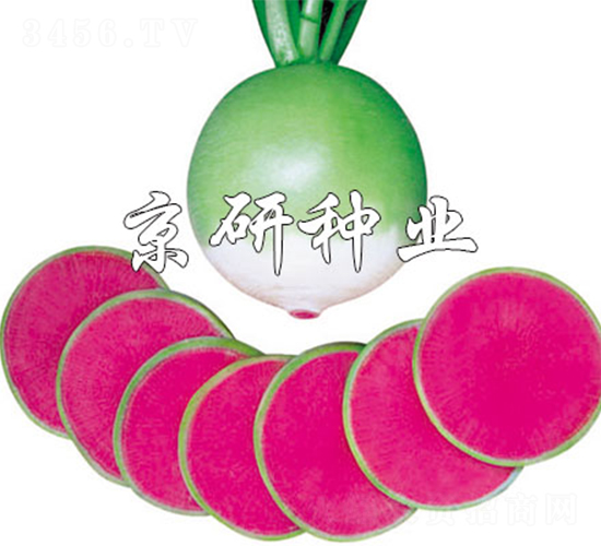 �����M�üt-�}���N��-����