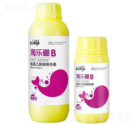 �����Ҵ����j(lu��)����-������B(y��ng)-�_(t��i)��������