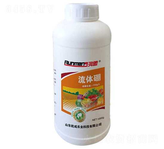 ���w��-����-Ǭ��