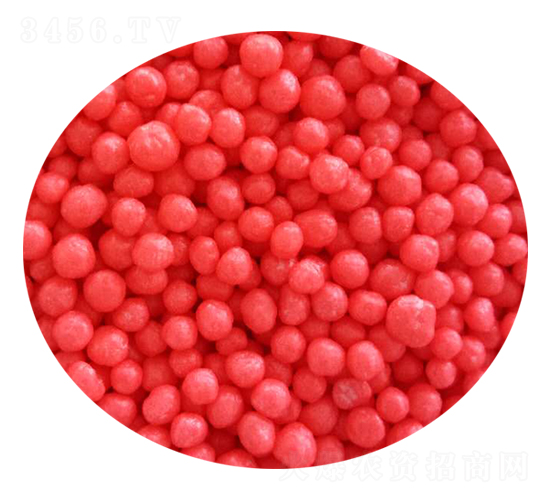 �LЧ��Ĥ�����w�����t��-�Z�����B(t��i)