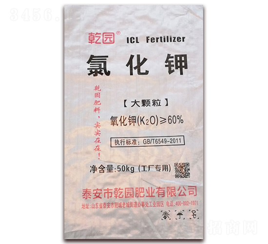 �Ȼ�⛣����w����-Ǭ�@