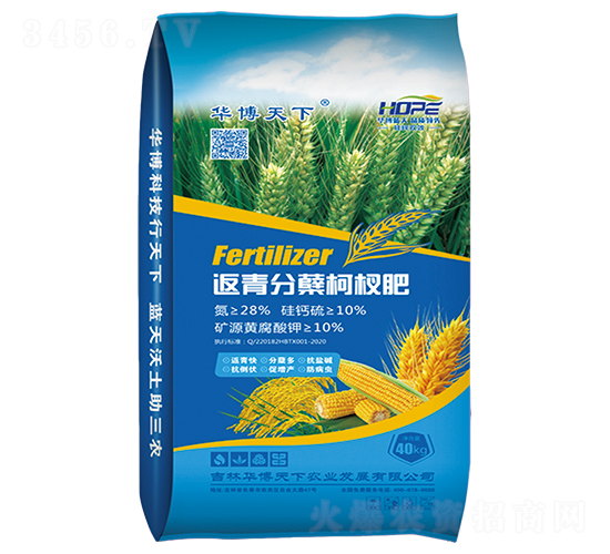 ������Y��辷�-�A������