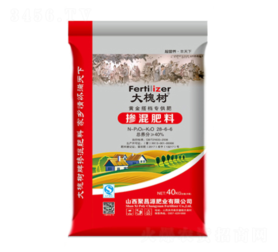 �������28-6-6-�󻱘�-�S��ʘI(y��)