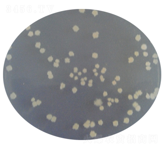 �ݲ�ѿ�ߗU��-΢������