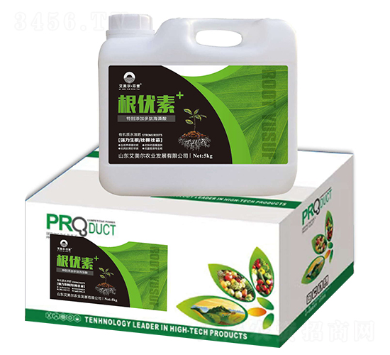 ����(y��u)��-�����������u-������