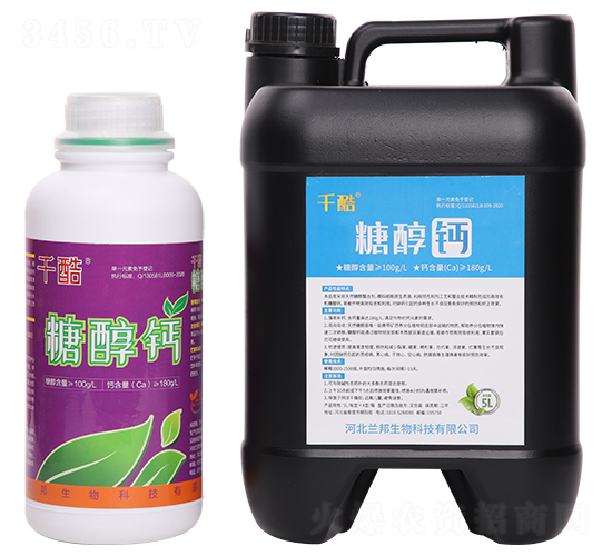 �Ǵ��}-ǧ��-�m������